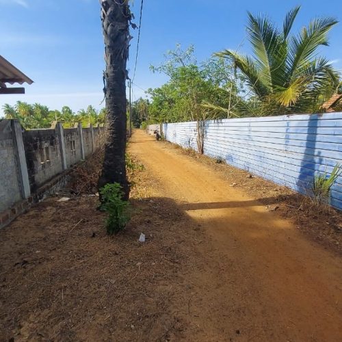 LAND-SALE-PALAMUNAI-6073-10