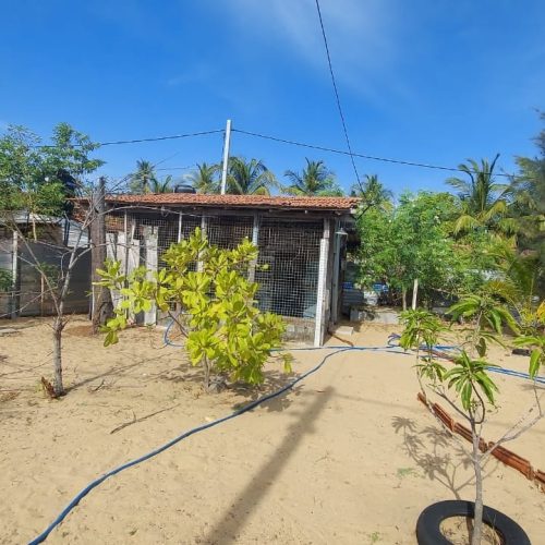 LAND-SALE-PALAMUNAI-6073-2