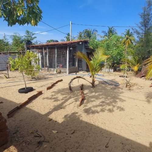 LAND-SALE-PALAMUNAI-6073-3