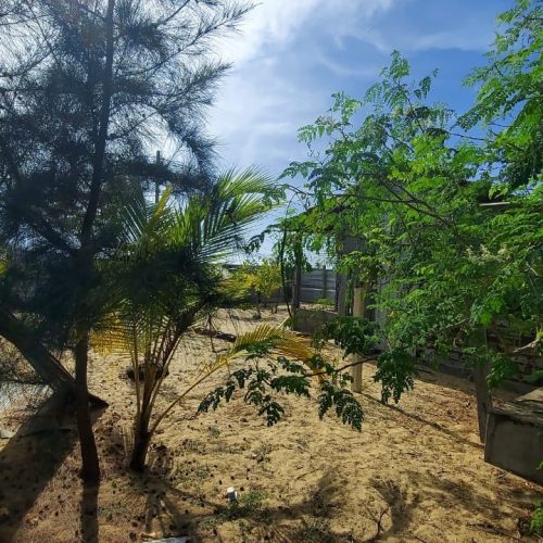 LAND-SALE-PALAMUNAI-6073-5