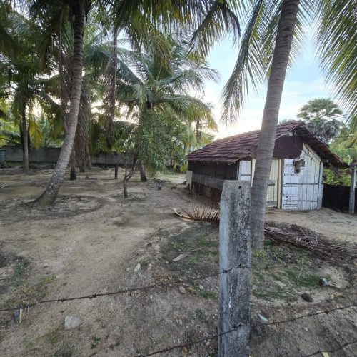 Land Sale Palamunai