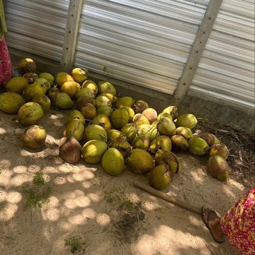 LAND-SALE-POONOCHIMUNAI-5766-8
