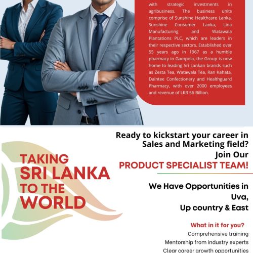 Sales And Marketing - Sunshine Holding