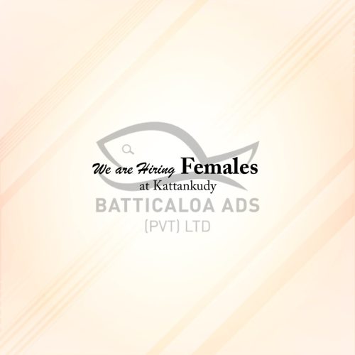 Vacancies Female Kattankudy