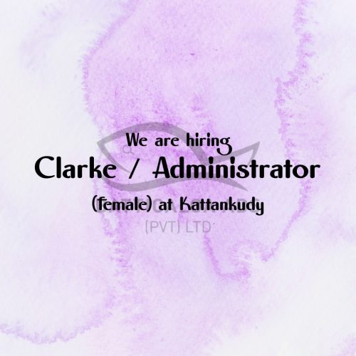 We Are Hiring Clarke Administrator At Kattankudy