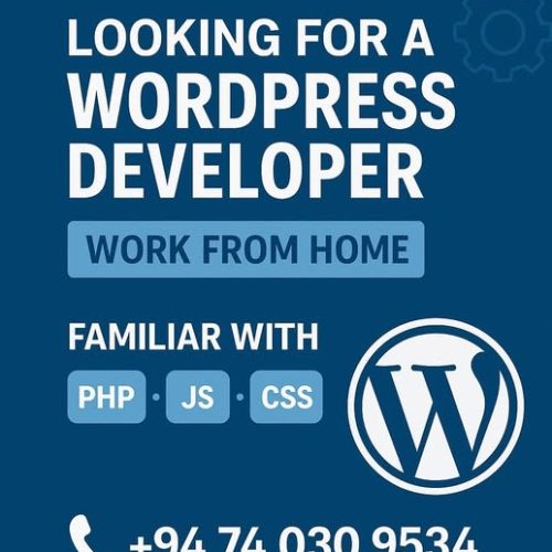 WordPress Developer