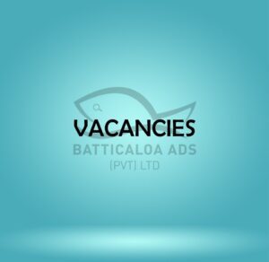 Vacancy At Adssecurity