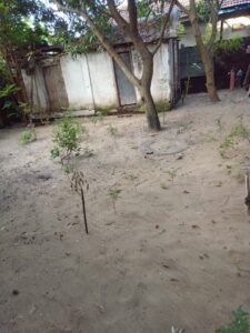 Land Sale Kattankudy