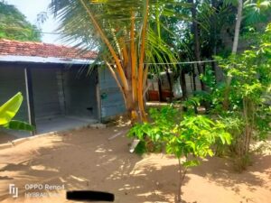 Land Sale Kattankudy
