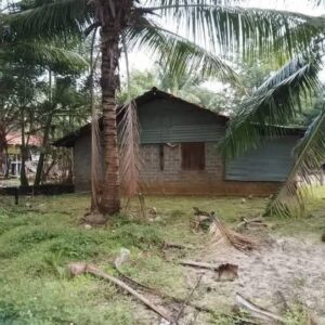 Land Sale Ollikkulam