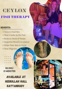 Ceylon Fish Therapy