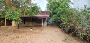 Land Sale Kattankudy
