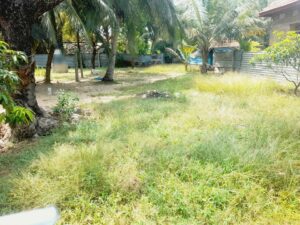 Land Sale Manchanthoduvai