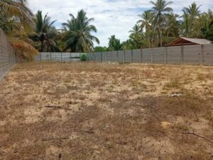 Land Sale Palamuanai