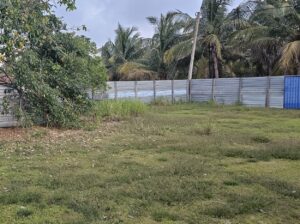 Land Sale Palamunai E