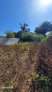 Land Sale Kattankudy