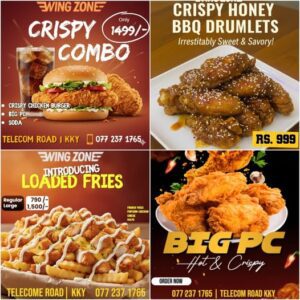 Kingdom Of Crispy – Wing Zone Kattankudy