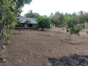 Land Sale Oddamavadi