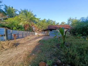 Land Sale Ollikkulam