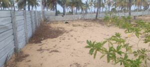 Land Sale Palamunai
