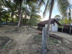 Land Sale Palamunai