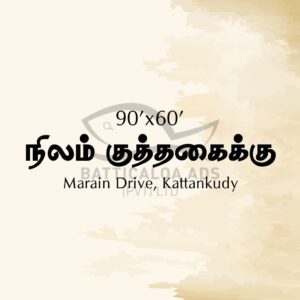 Land Rent Kattankudy