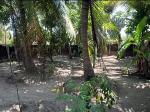 Land Sale Kattankudy