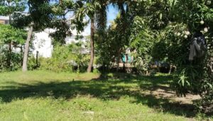 Land Sale Kattankudy