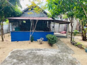 Land Sale Karbala Kattankudy