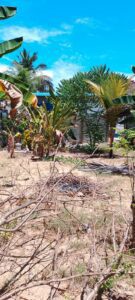 Land Sale Kattankudy