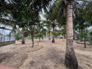 Land Sale Kattankudy Manchanthoduvai