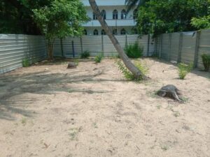 Land Sale Kattankudy
