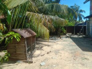 Land Sale Kattankudy