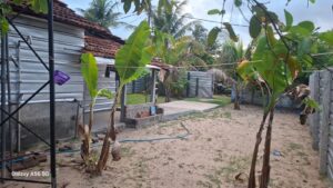 Land Sale Palamunai