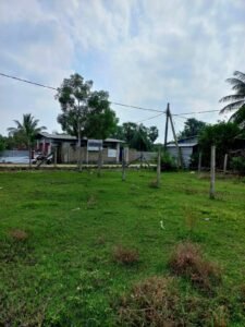 Land Sale Ollikkulam Kattankudy