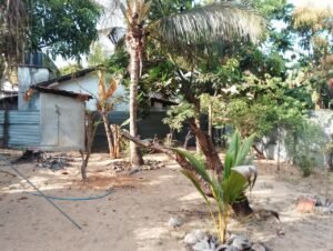 Land Sale Poonochimunai Kattankudy