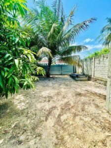 Land Sale Kattankudy