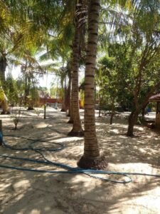 Land Sale Kattankudy Poonochimunai
