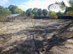 Land Sale Kattankudy