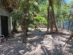 Land Sale Kattankudy