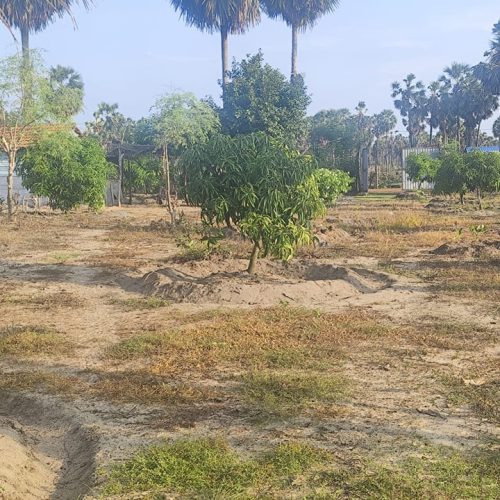 LAND-SALE-ERAVUR-5486-6