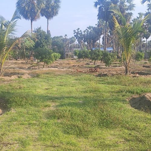 LAND-SALE-ERAVUR-5486-8