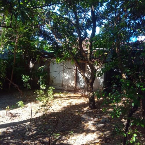 LAND-SALE-KATTANKUDY-5251-