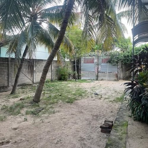 LAND-SALE-KATTANKUDY-5390-1