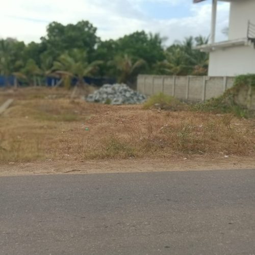 LAND-SALE-PALAMUNAI-5107-1